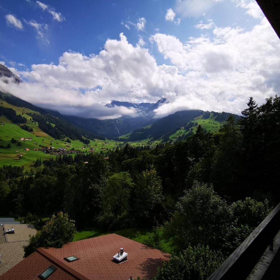 Fewo Fernsicht Crystal Adelboden Exterior photo